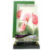 TROPIC ANTHURIUM