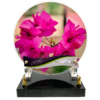 BOUGAINVILLIER