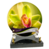 ORCHIDEE VERTE
