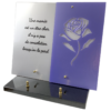 B NACRE + GLYCINE