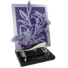 GLYCINE DEV. NACRE