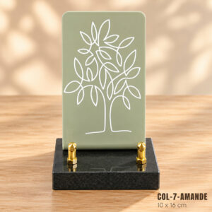 COL-7-AMANDE