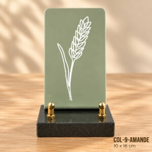 COL-9-AMANDE