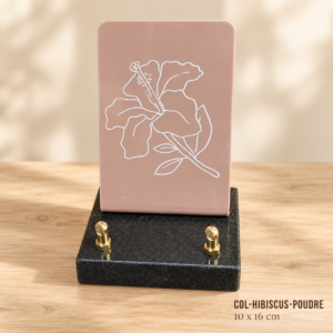 COL-HIBISCUS-POUDRE