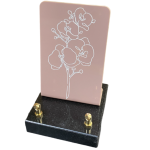 COL-ORCHIDEE-POUDRE