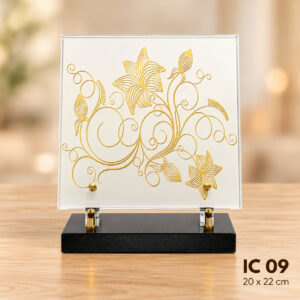IC 09