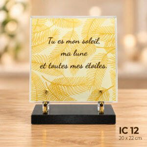 IC 12