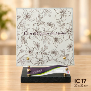 IC 17
