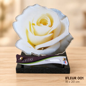 IFLEUR 001
