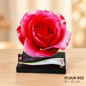 IFLEUR 002