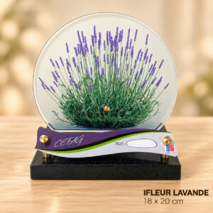 IFLEUR LAVANDE
