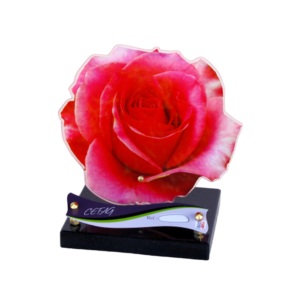 IFLEUR 002