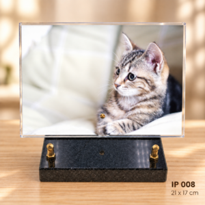 IP 008