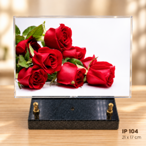 IP 104