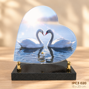 IPC3 020
