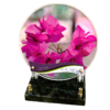 BOUGAINVILLIER