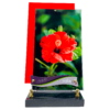 ROUGE BR. HIBISCUS