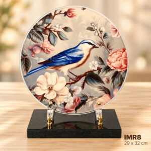 IMR8