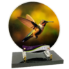 COLIBRI