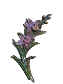 ORCHIDEES ROSES  13.5 x 5.5 cm
