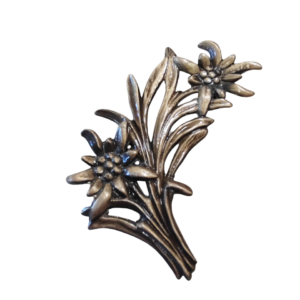 2 EDELWEISS  16 x 14 cm