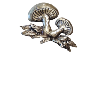 2 CHAMPIGNONS  5 x 6 cm