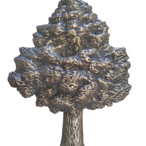 CHENE  18 x 14 cm