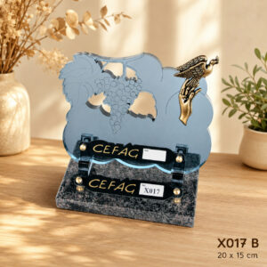 X017